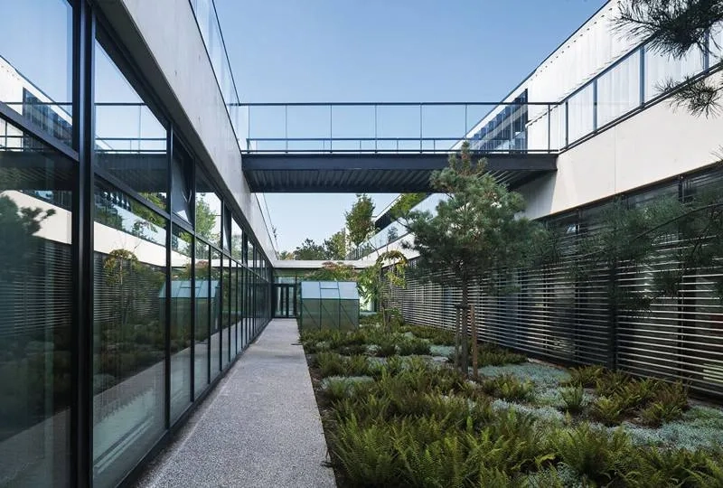 Les ateliers s’ouvrent sur les patios plantés de la douve.