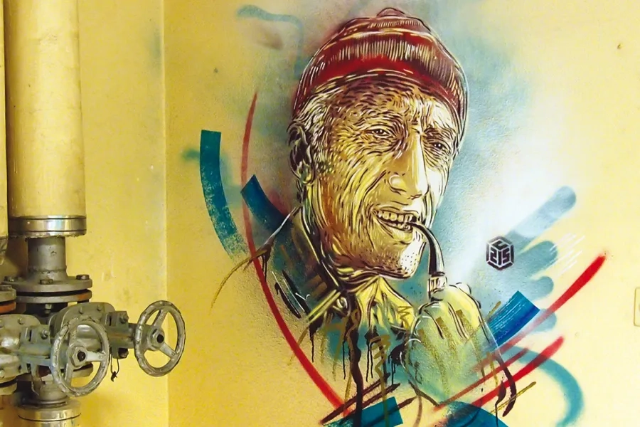 C215 –  E = MC215 – commandant Jacques-Yves Cousteau, 2015.  CEA de Saclay.