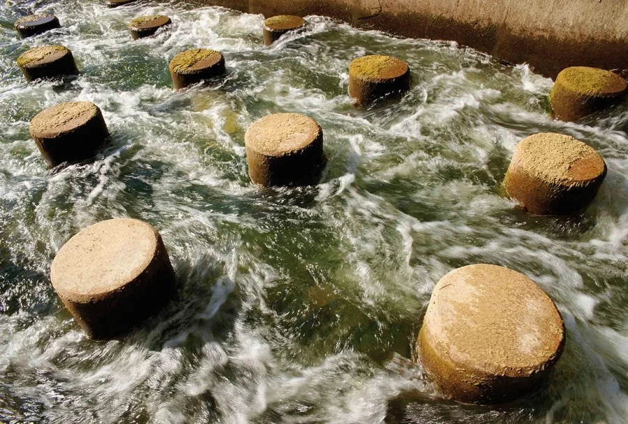 Les 113 cylindres de béton cassent la dynamique de l’eau et permettent aux poissons de se reposer lorsqu’ils remontent le courant.