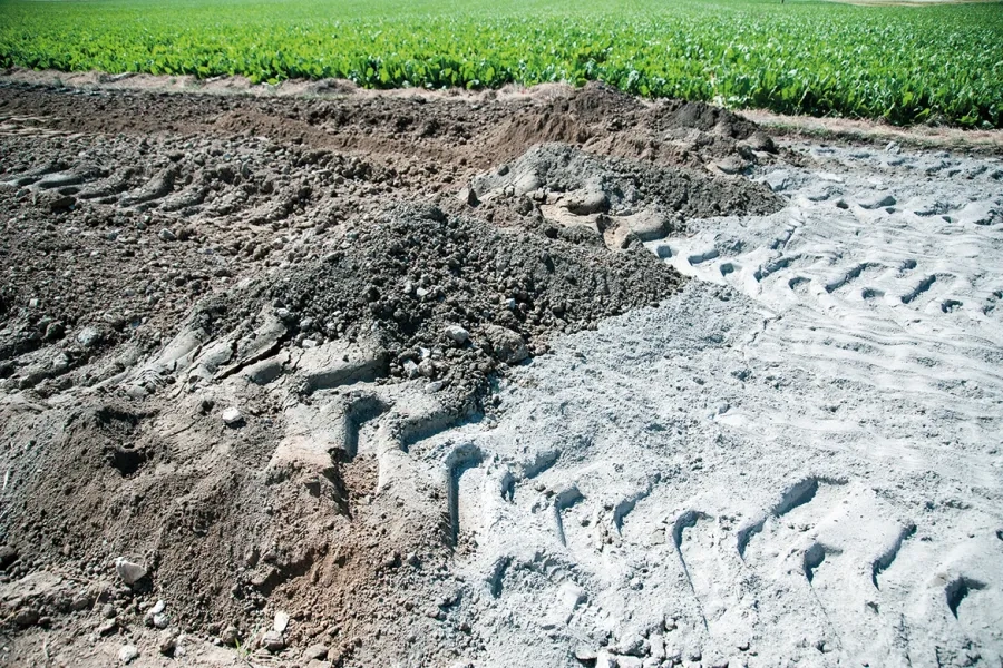 Résultat à l’issue du malaxage : le liant clair a été finement mélangé  avec le matériau de l’ancienne chaussée. 