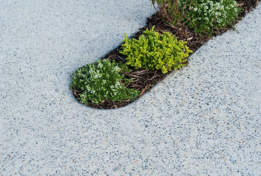 Quelque 145 jardinières – 1 m de long sur 20 cm de large – ont été implantées en quinconce dans le prolongement du patio central.