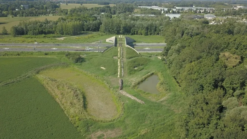 L’aménagement de l’ouvrage reproduit l’écosystème environnant pour compenser l’effet de rupture généré par l’infrastructure. 