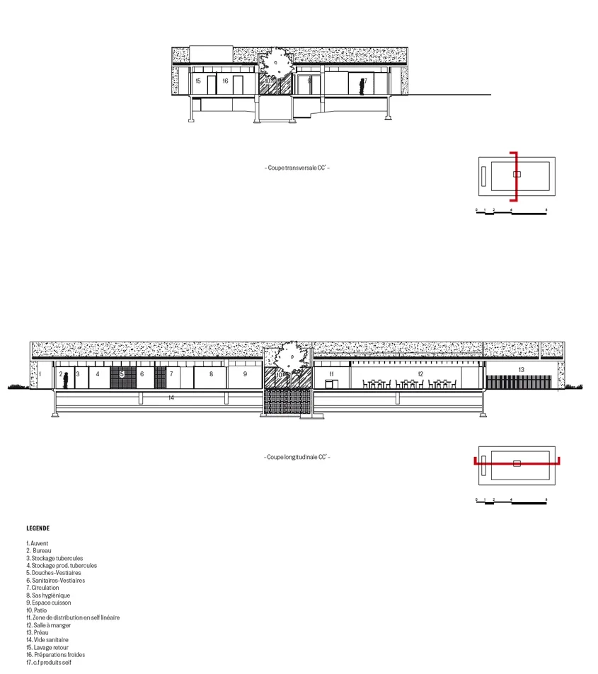 Coupe transversale et coupe longitudinale